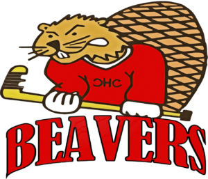 HOCKEY-300x257